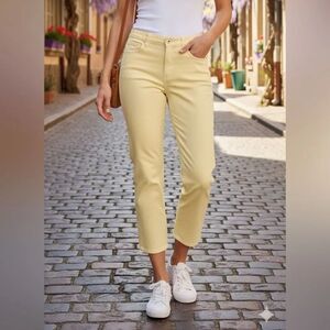 Take 50% OFF- Gloria Vanderbilt Amanda Women's Jeans, Size-14